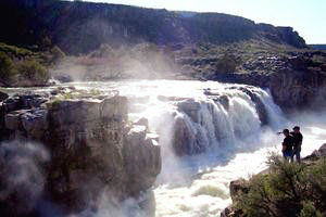 Cauldron Linn